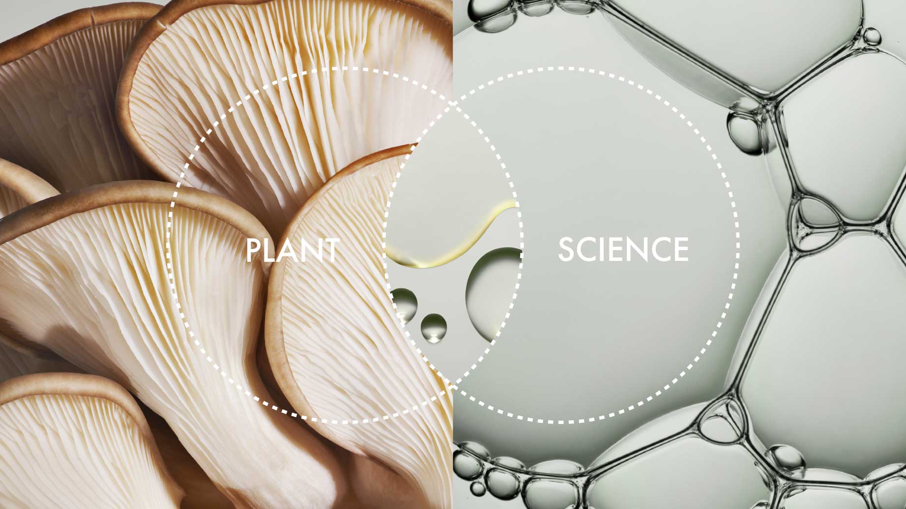 ORIGINS Plant Science